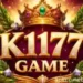 K1177 Game