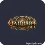 Qaidi804 Game