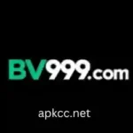 BV999 Game