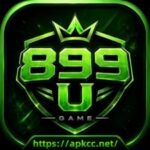 899U Game