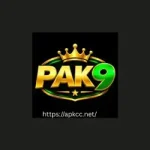PAK9 Game